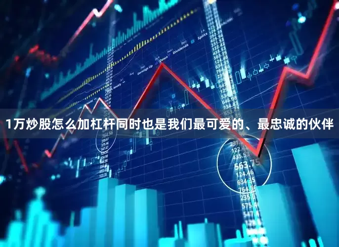 1万炒股怎么加杠杆同时也是我们最可爱的、最忠诚的伙伴