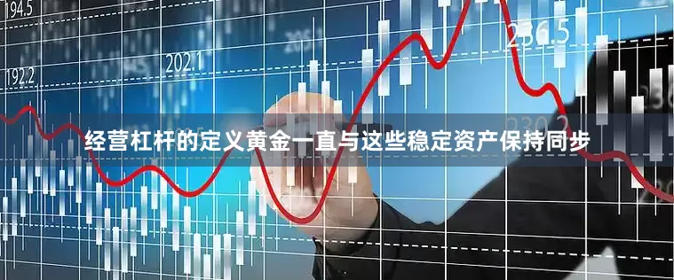 经营杠杆的定义黄金一直与这些稳定资产保持同步