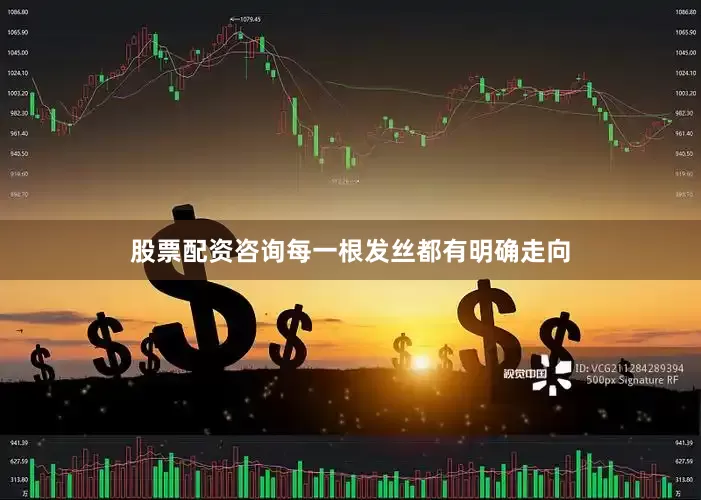 股票配资咨询每一根发丝都有明确走向